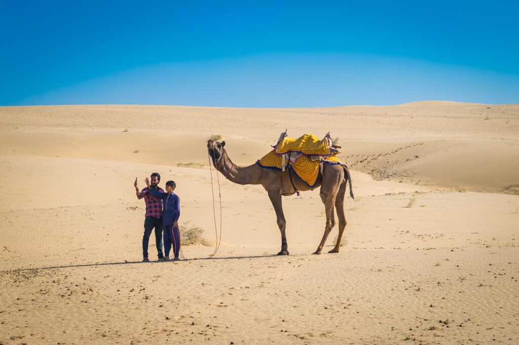 jaisalmer, desert, camel-7470758.jpg