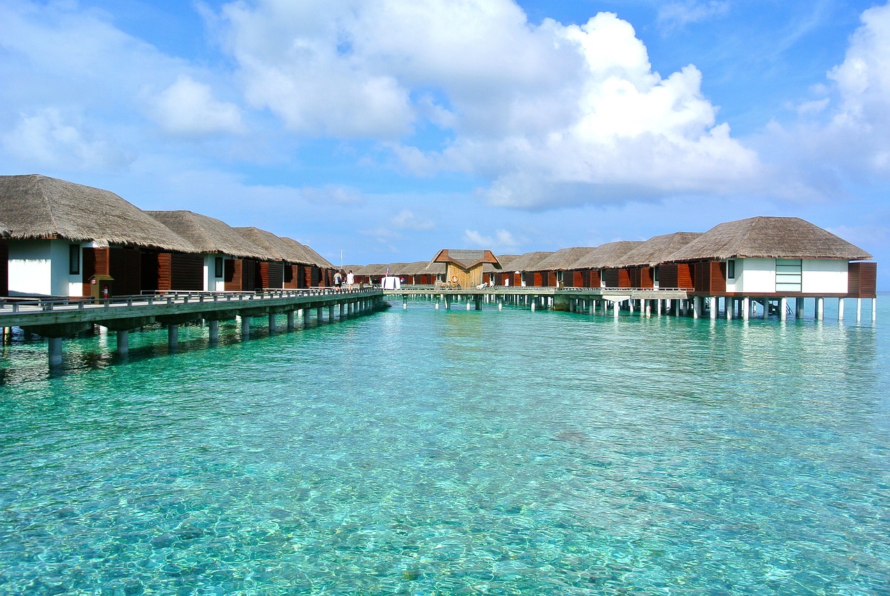 maldives, beach, holiday-261504.jpg